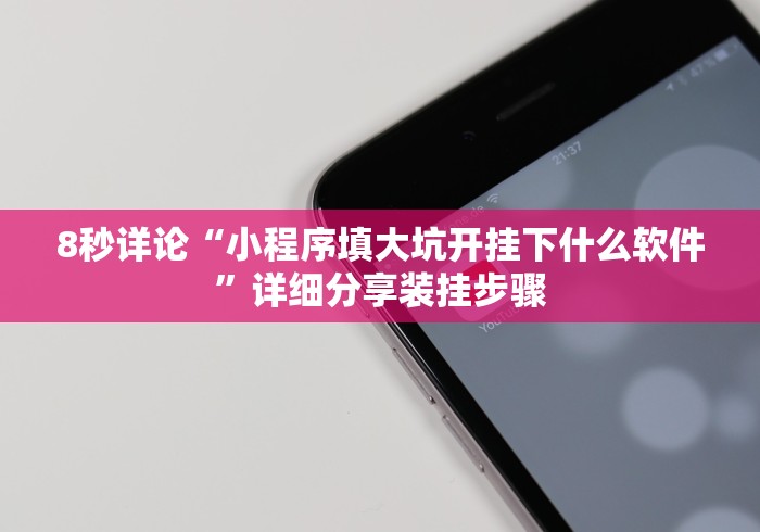 8秒详论“小程序填大坑开挂下什么软件”详细分享装挂步骤