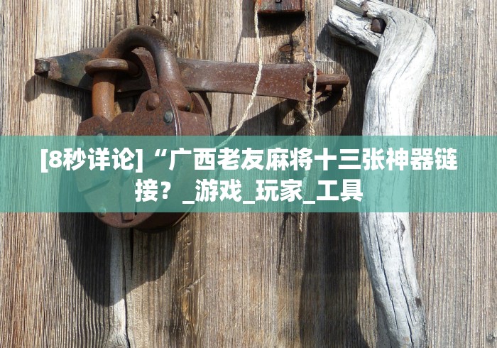 [8秒详论]“广西老友麻将十三张神器链接？_游戏_玩家_工具