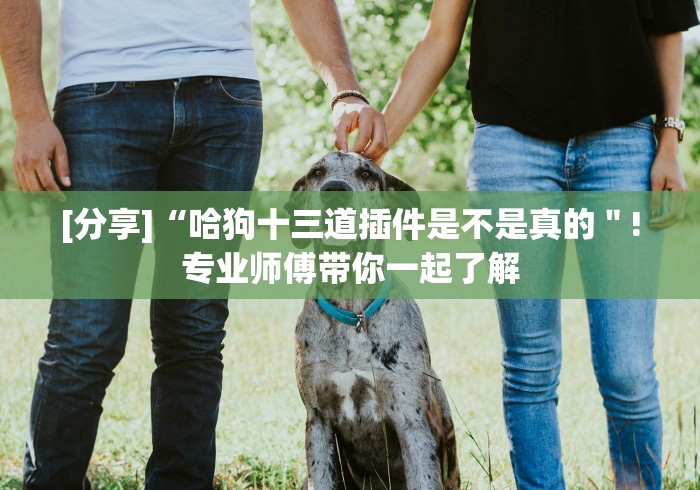 [分享]“哈狗十三道插件是不是真的＂!专业师傅带你一起了解